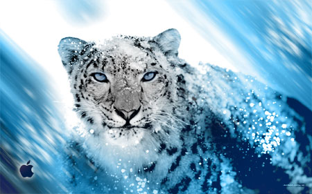 snow leopard mac os x wallpaper. 2011 Osx Wallpapers snow